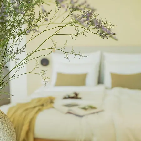 Oceanhuts Coxos Adults Only 埃里塞拉