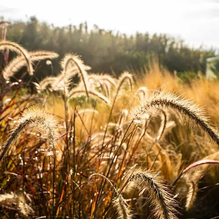 Aparthotel Oceanhuts Coxos Adults Only