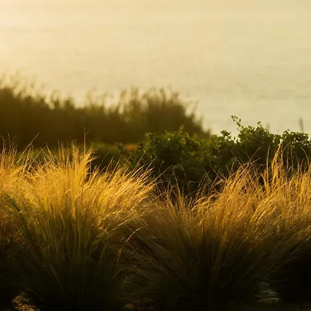 Oceanhuts Coxos Adults Only Aparthotel 4*