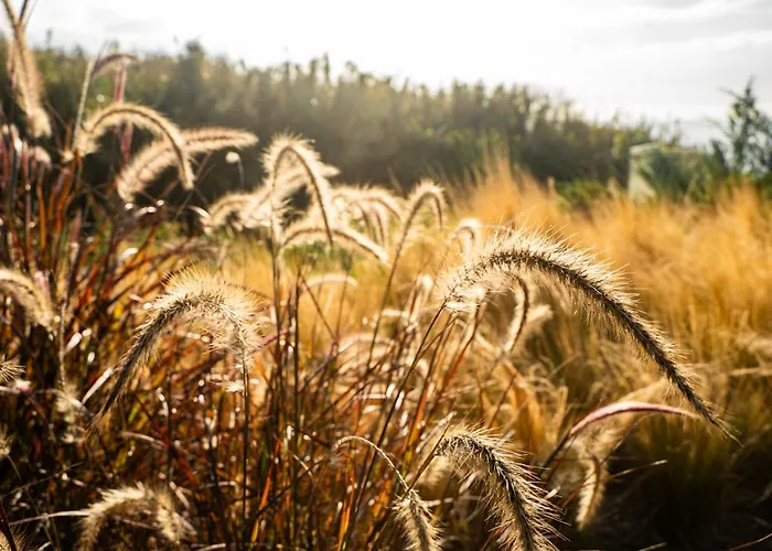 מלון דירות Oceanhuts Coxos Adults Only