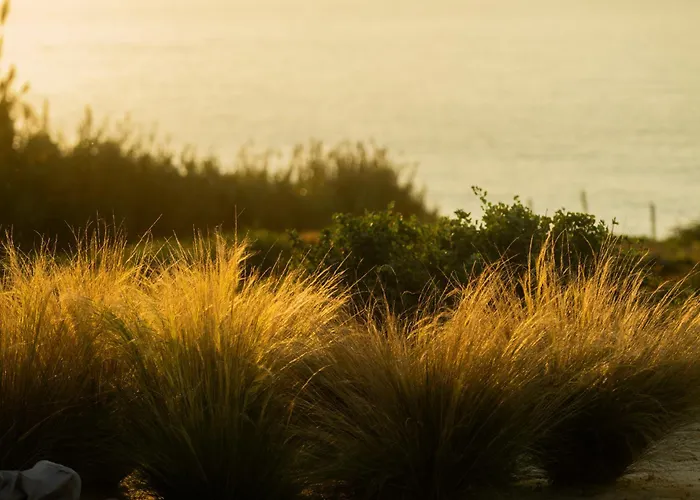 Oceanhuts Coxos Adults Only מלון דירות 4*