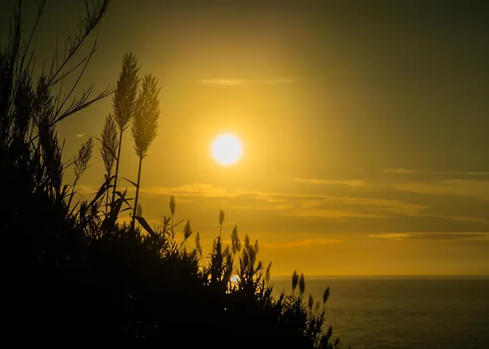 Ξενοδοχείο με διαμερίσματα Oceanhuts Coxos Adults Only Ericeira